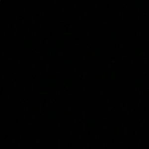 Meet your Posher, Jake